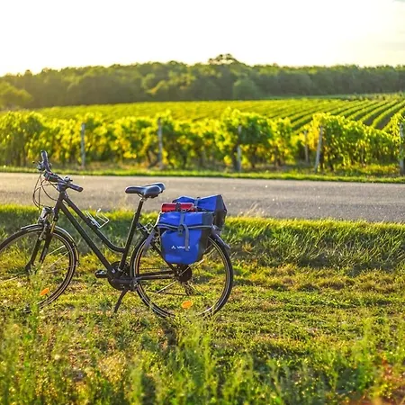 Logis Restaurant L'essille Hotell Bassac