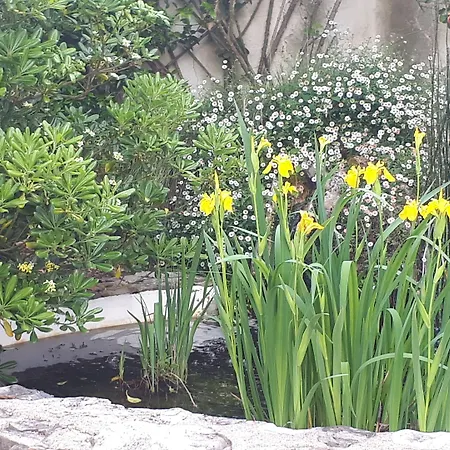 Logis Restaurant L'essille 호텔 Bassac